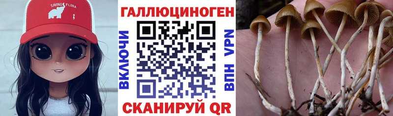 Псилоцибиновые грибы MAGIC MUSHROOMS  Сурск 